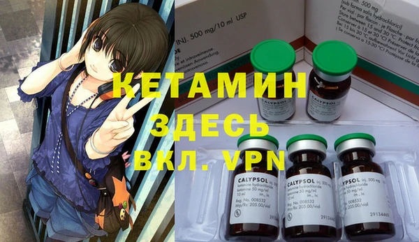 шишки Балахна