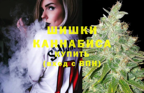 шишки Балахна