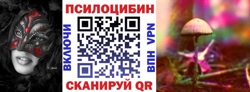 наркота  Катав-Ивановск  Псилоцибиновые грибы Cubensis 